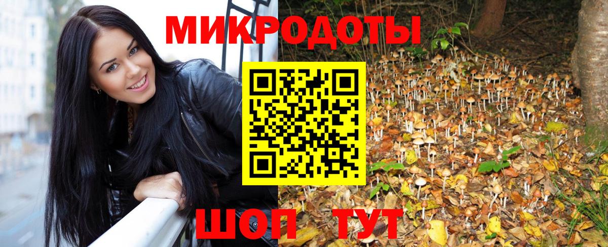 Псилоцибиновые грибы Psilocybine cubensis Тимашёвск