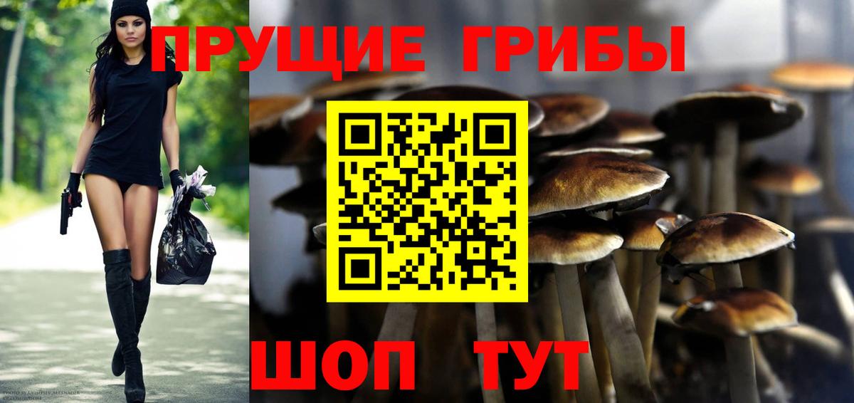 Тимашёвск  Галлюциногенные грибы GOLDEN TEACHER  Галлюциногенные грибы прущие грибы  Вход с VPN 